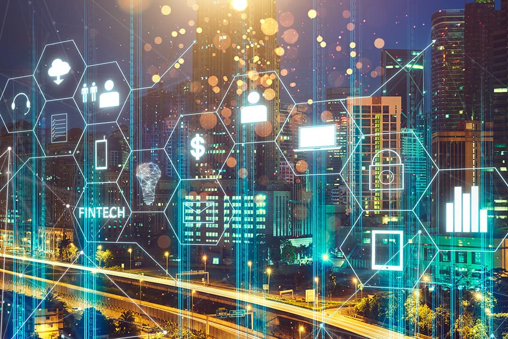 ELEKTRONİK PARA FAALİYETLERİ